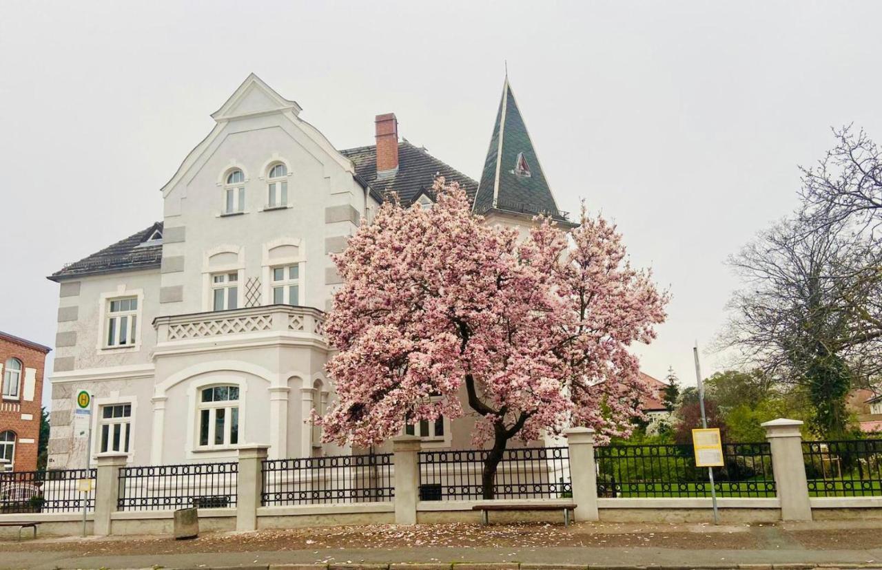 Boutique Appartement Torgau Zewnętrze zdjęcie