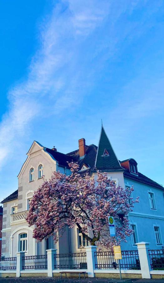 Boutique Appartement Torgau Zewnętrze zdjęcie