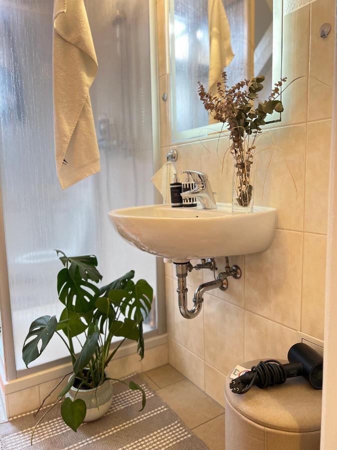 Boutique Appartement Torgau Zewnętrze zdjęcie